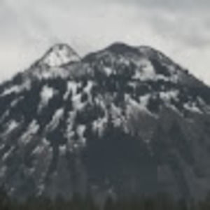 Meet your Posher, Coinmagevintage